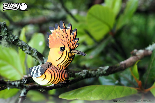 Hoopoe