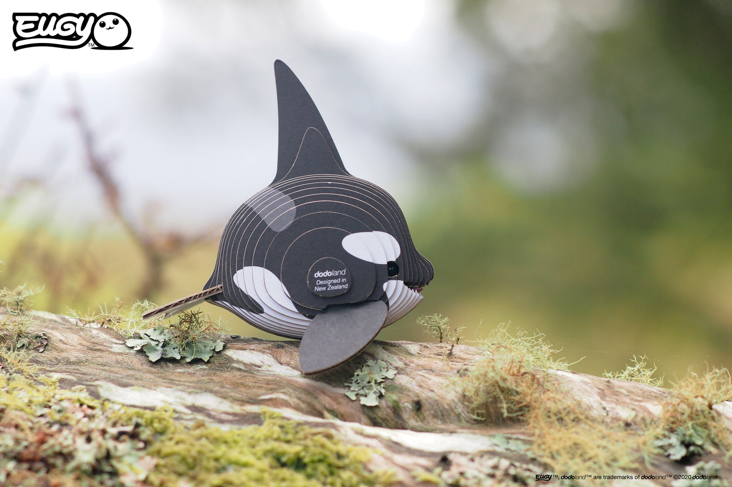 Orca