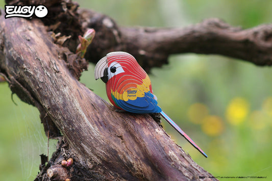 Parrot