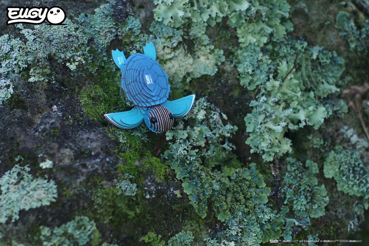 Turtle