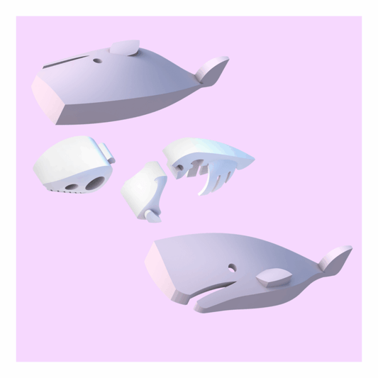 Sperm Whale D