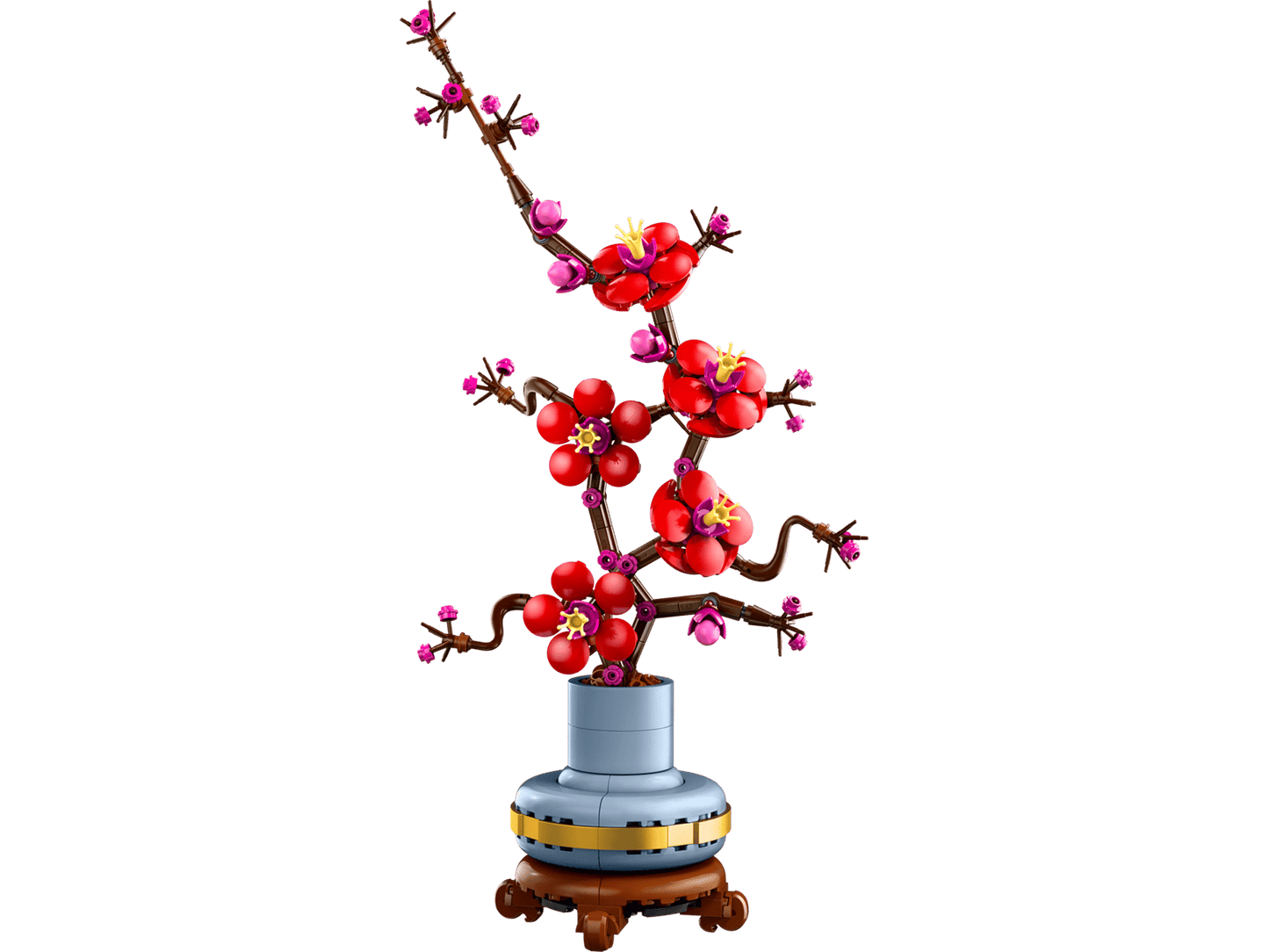 Plum Blossom