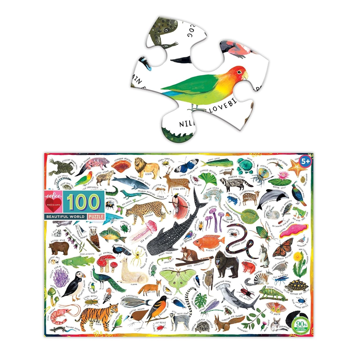 Beautiful World Puzzle