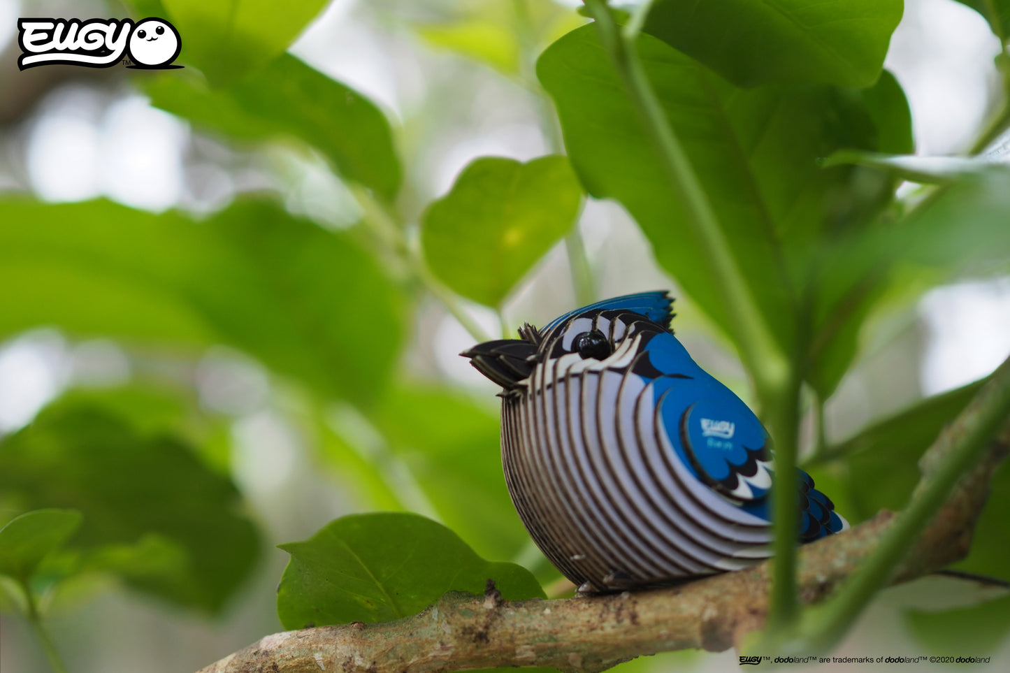 Blue Jay