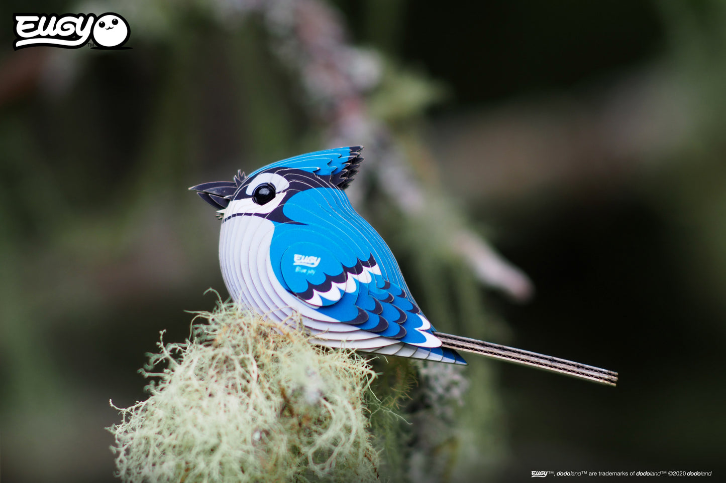 Blue Jay