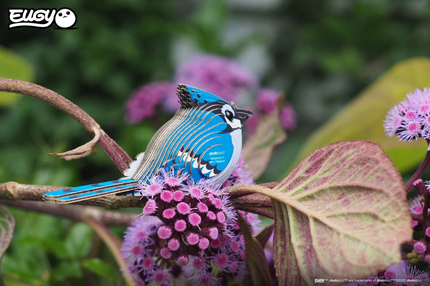 Blue Jay