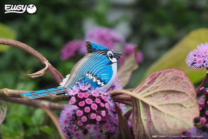 Blue Jay