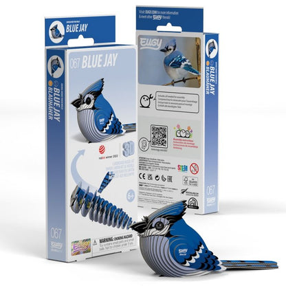 Blue Jay