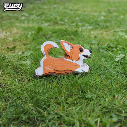 Welsh Corgi
