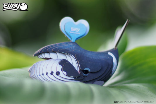 Bowhead Whale