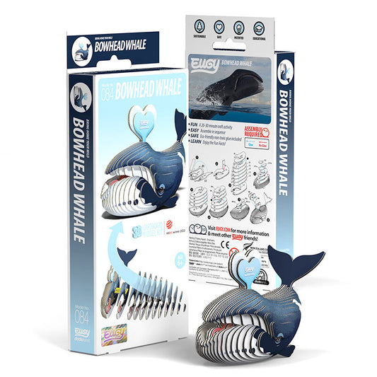 Bowhead Whale