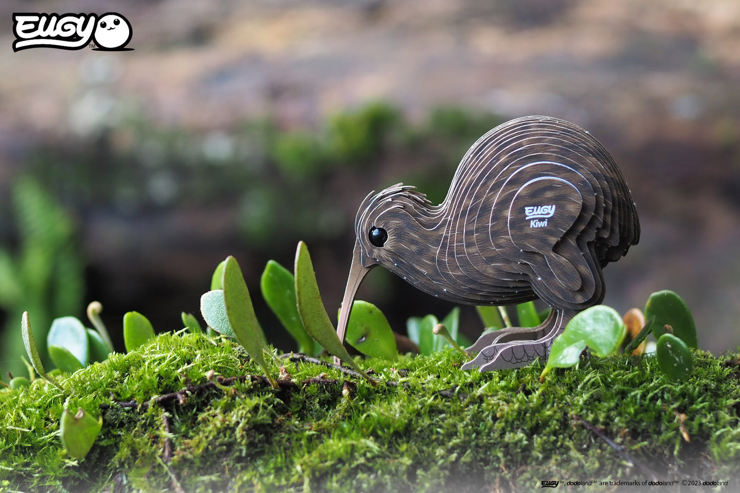 Brown Kiwi