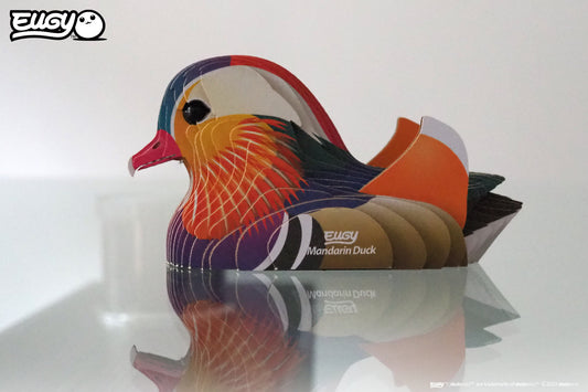 Mandarin Duck