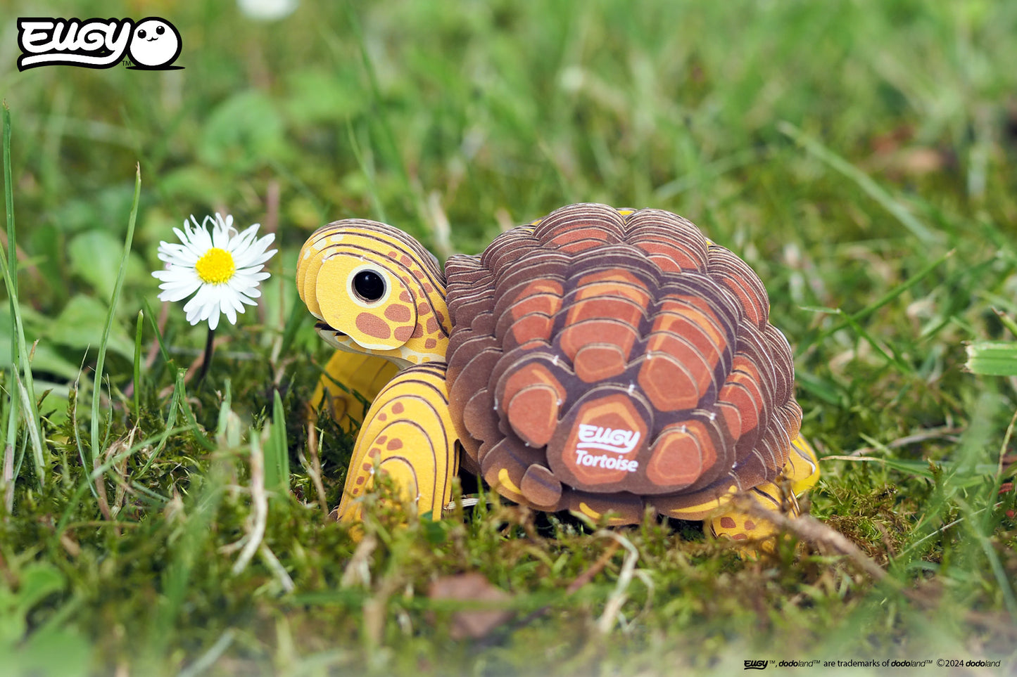 Tortoise