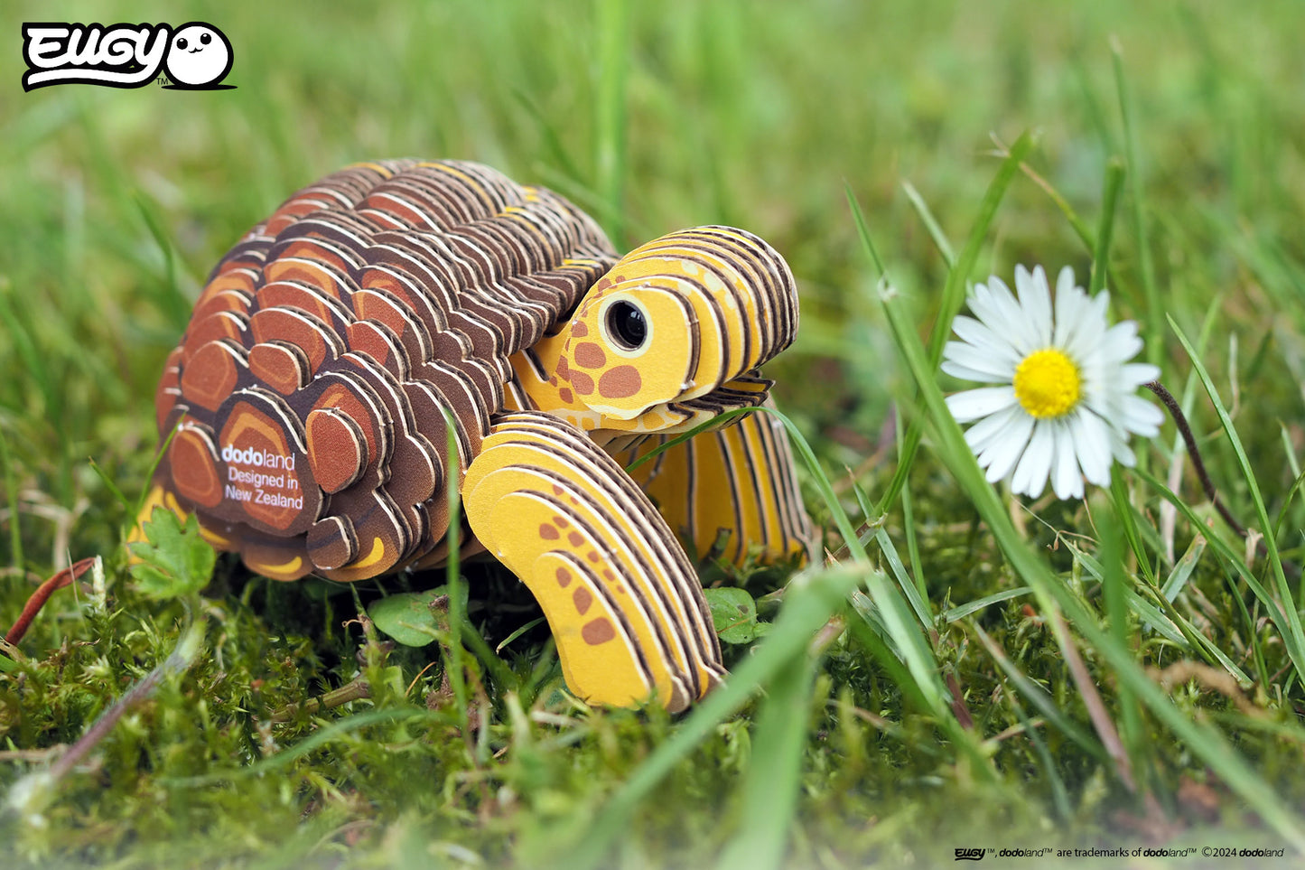 Tortoise