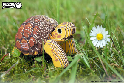 Tortoise