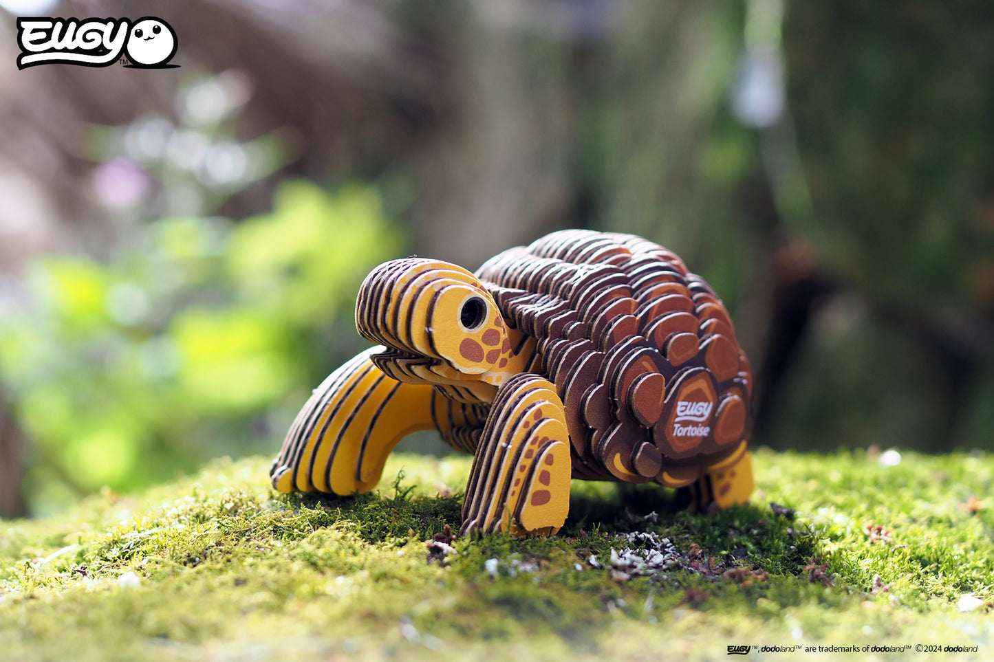 Tortoise