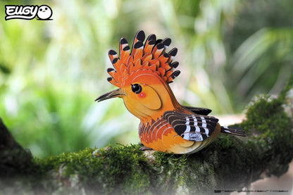 Hoopoe