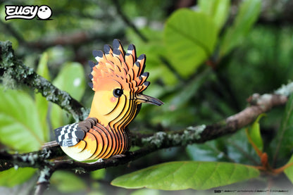 Hoopoe