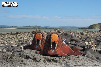 Walrus
