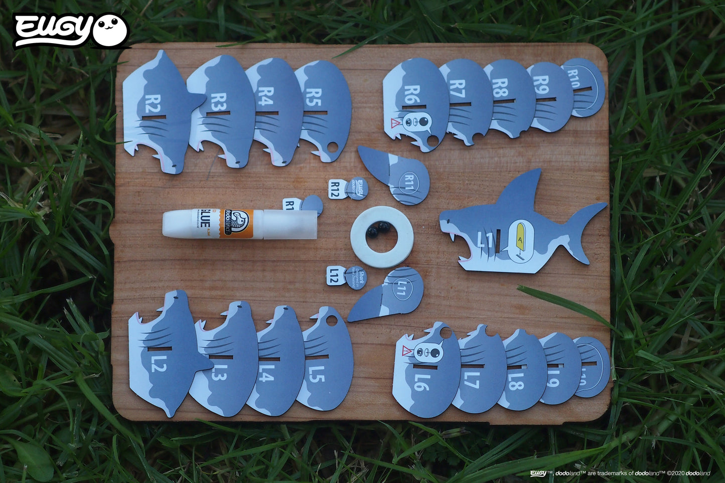 Shark