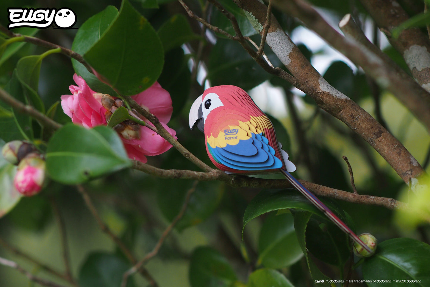 Parrot