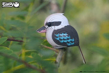 Kookaburra