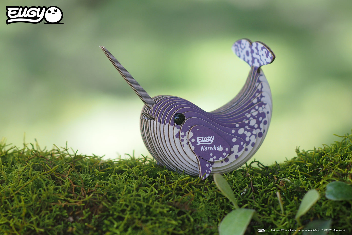 Narwhal