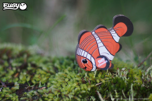 Clownfish
