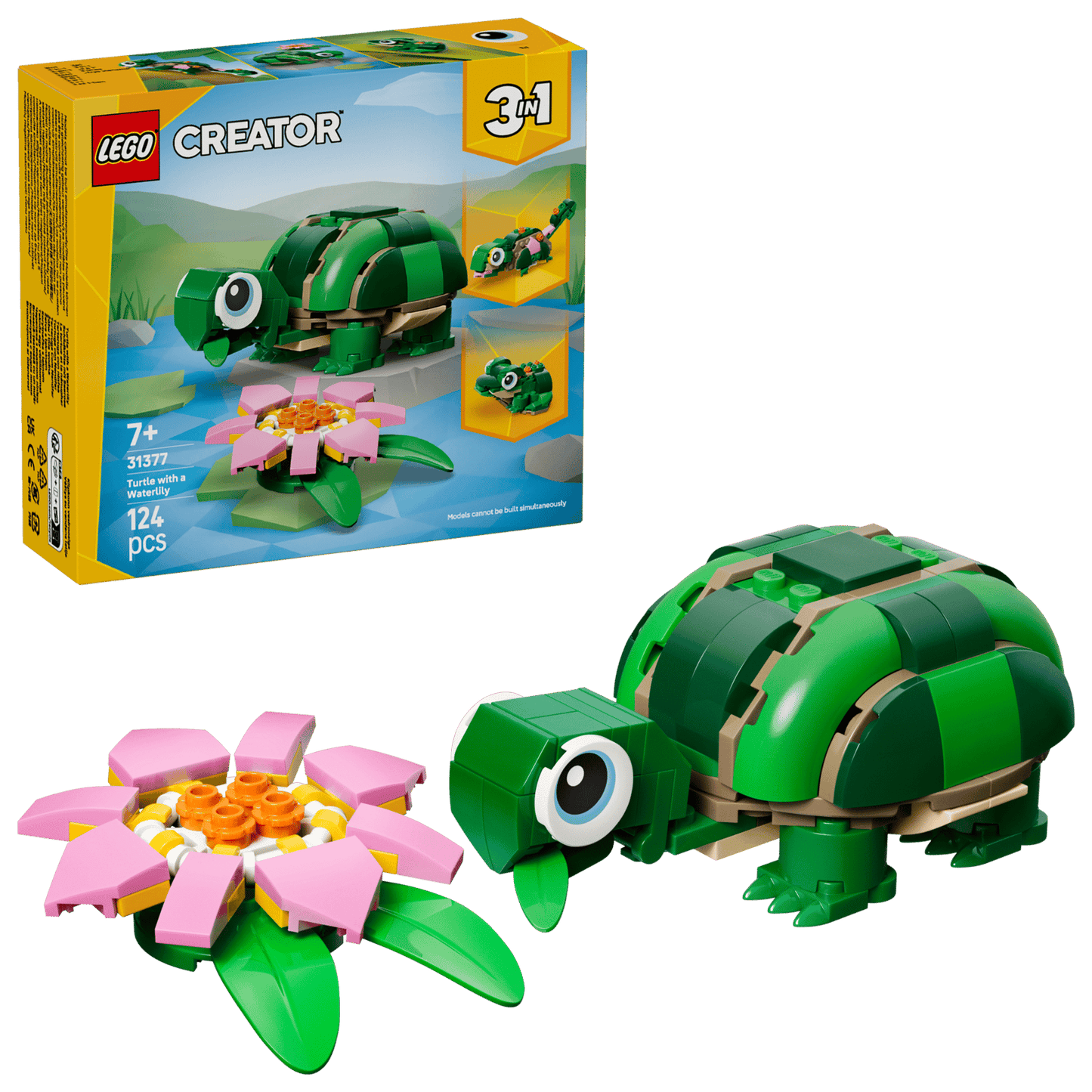 3 in 1 Turtle with a Water Lily Flower