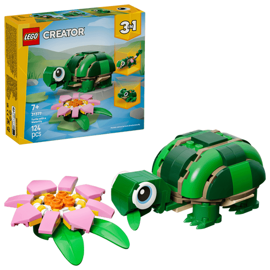 3 in 1 Turtle with a Water Lily Flower