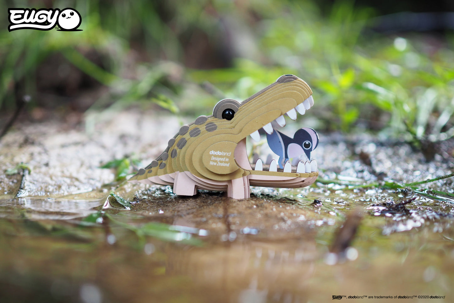 Alligator