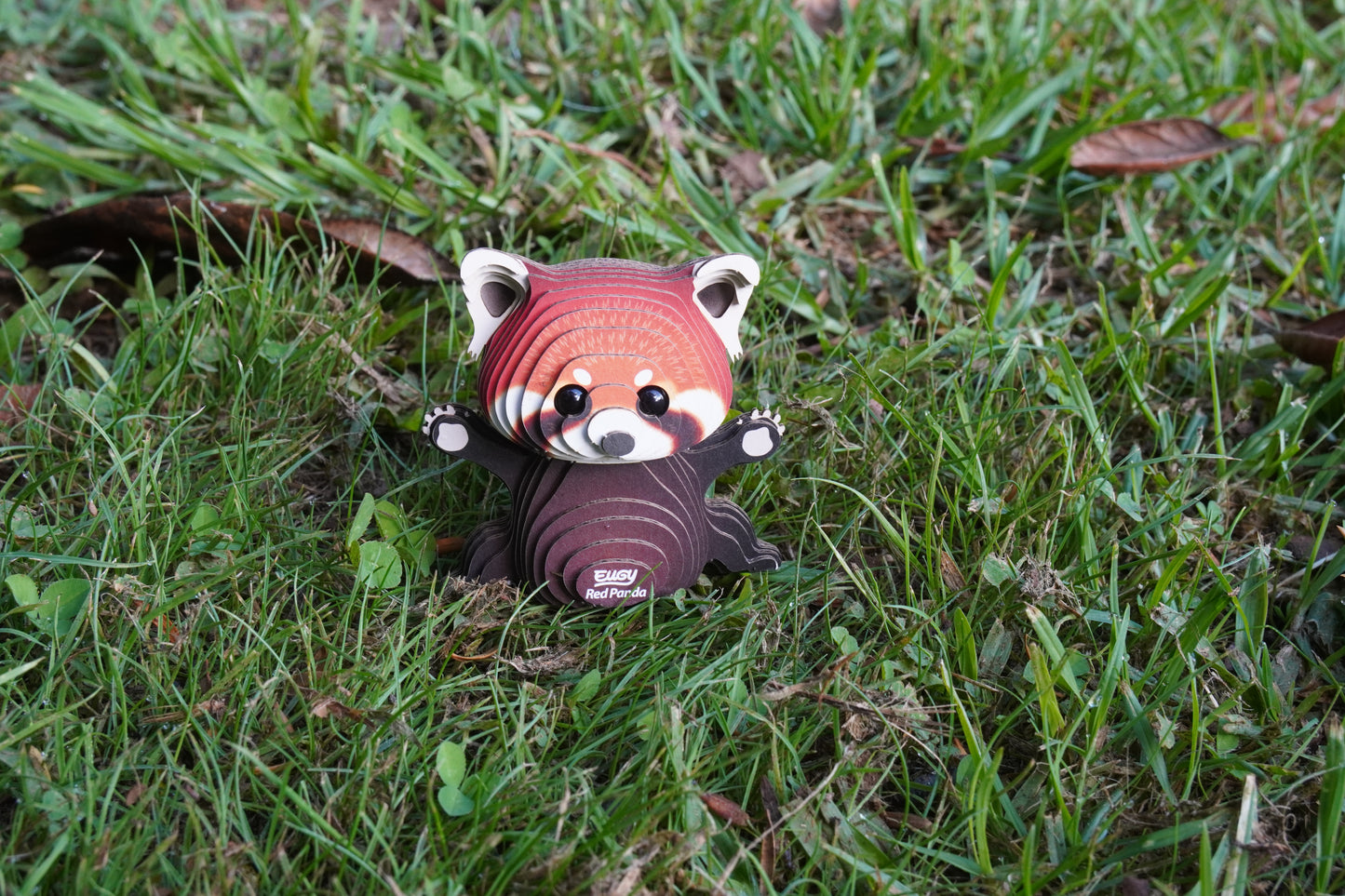 Red Panda