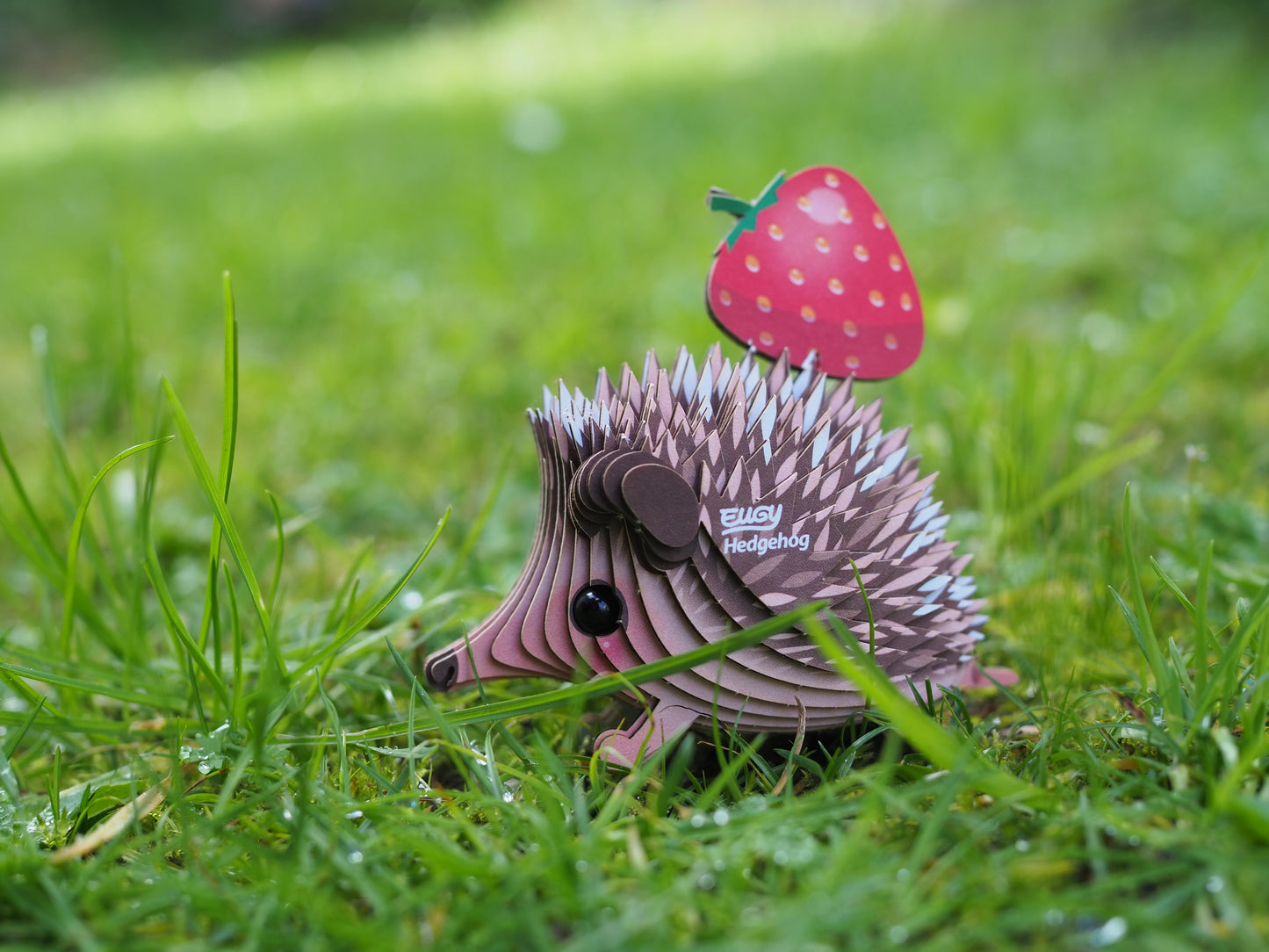 Hedgehog