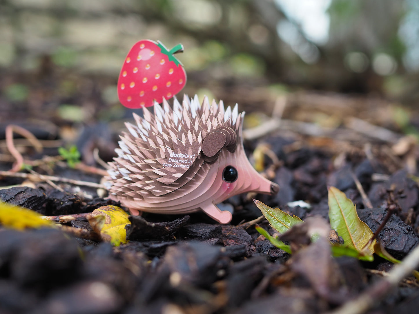 Hedgehog
