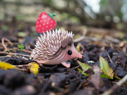 Hedgehog