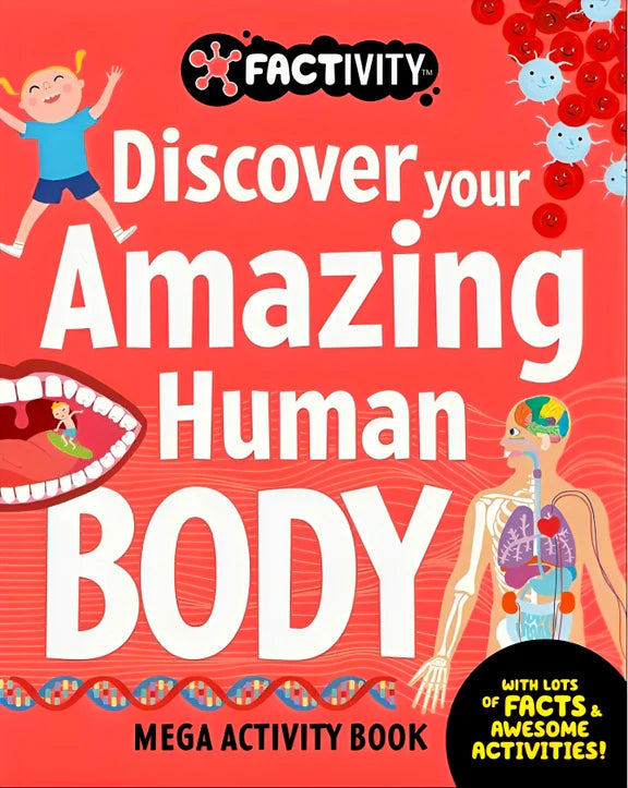 Factivity: Human Body