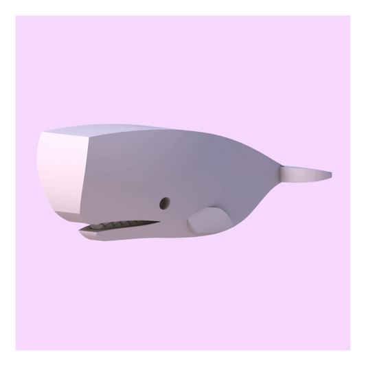 Sperm Whale D