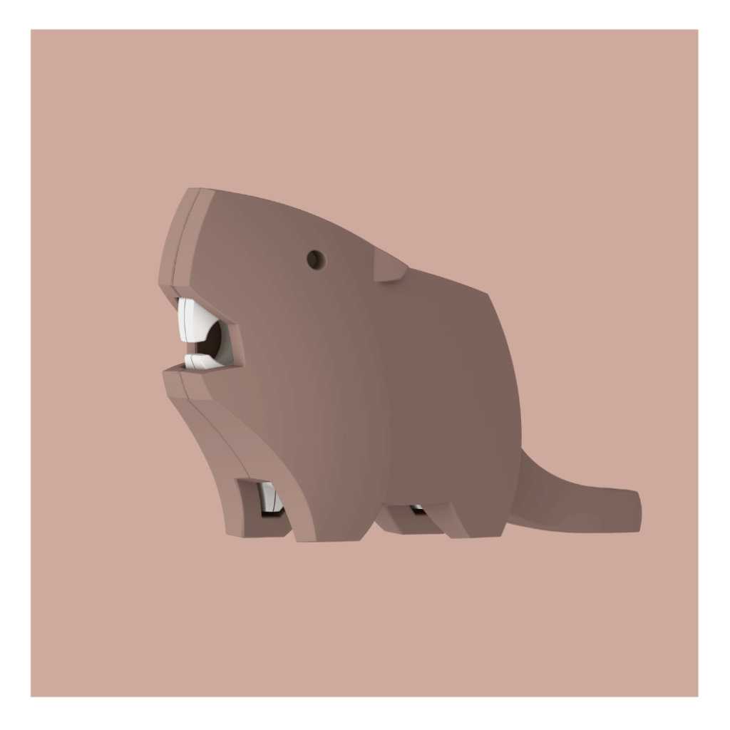 Beaver D