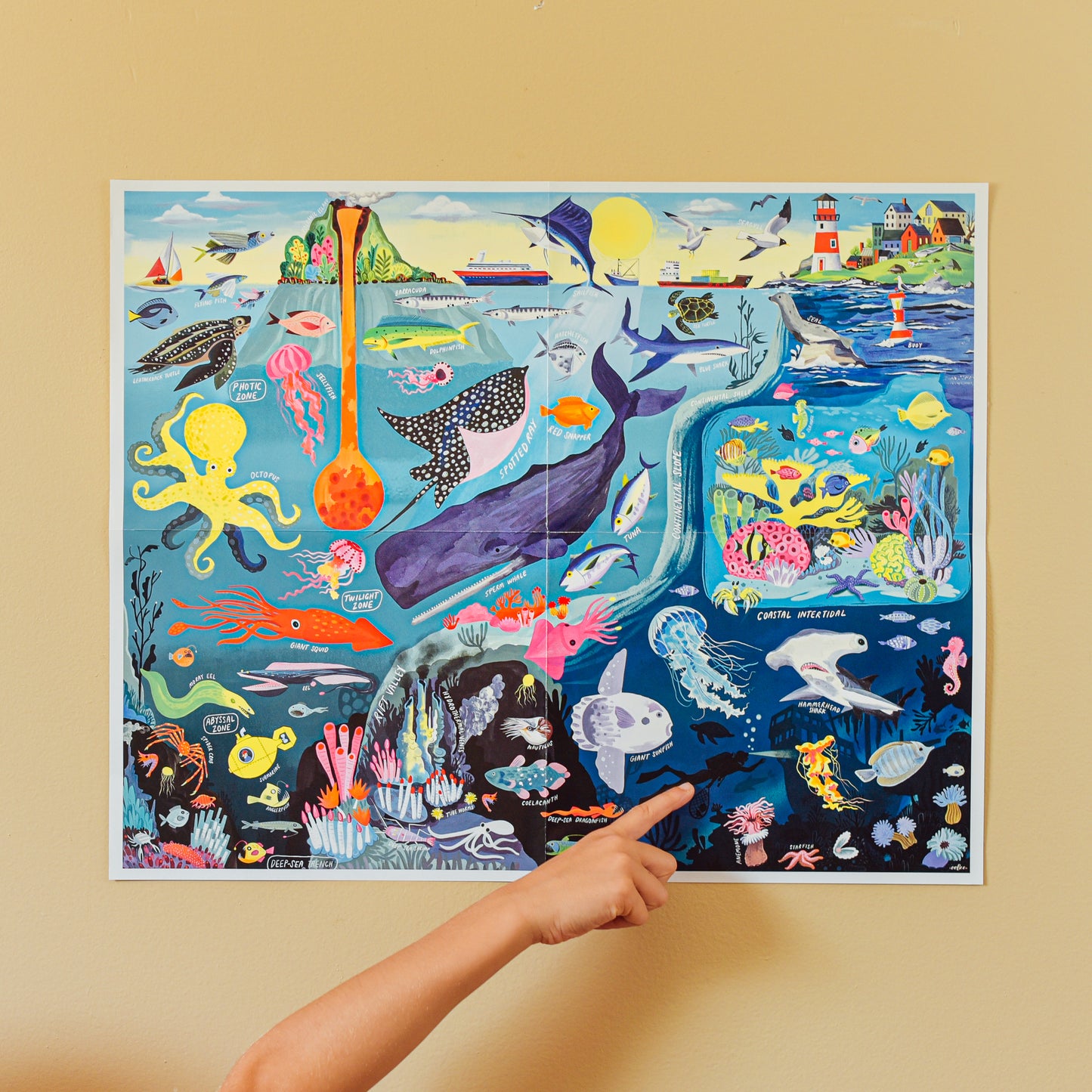 Within the Sea 48pc Puzzle