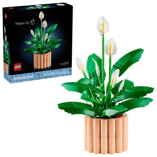 Peace Lily