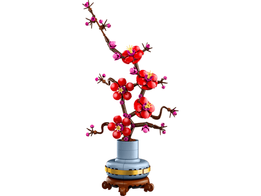 Plum Blossom