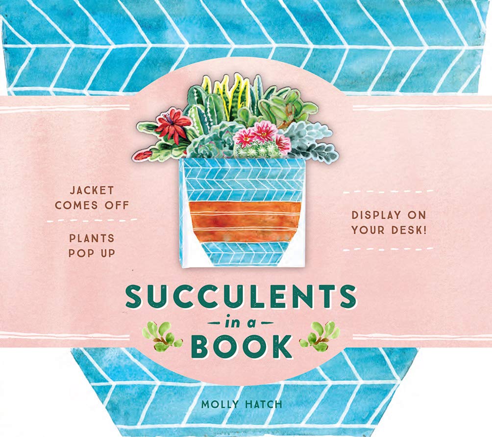 Succulents in a Book by Molly Hatch
