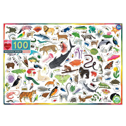 Beautiful World Puzzle